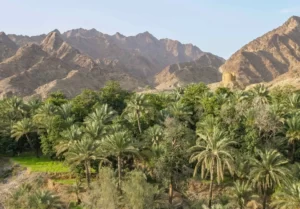 Фуджейра: горячие туры в очаровательный мир ОАЭ